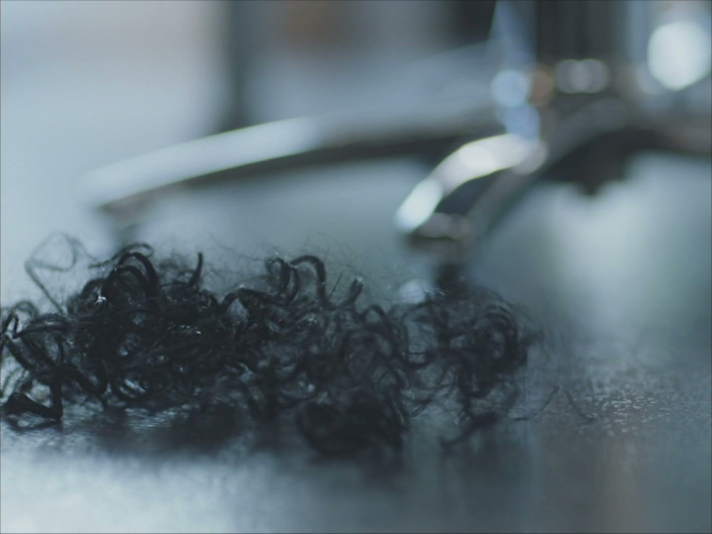 Detail: cut black curls on a dark counter, scissors out of focus behind. (opens a larger view)